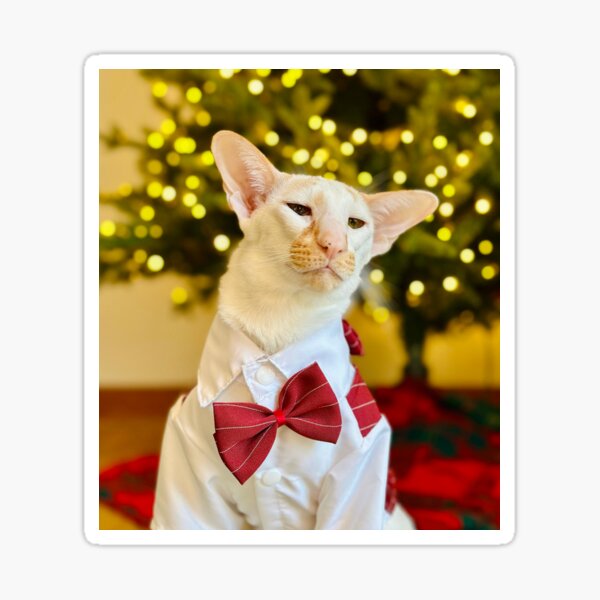 Item preview, Winston Portrait designed and sold by hannahzgreat.