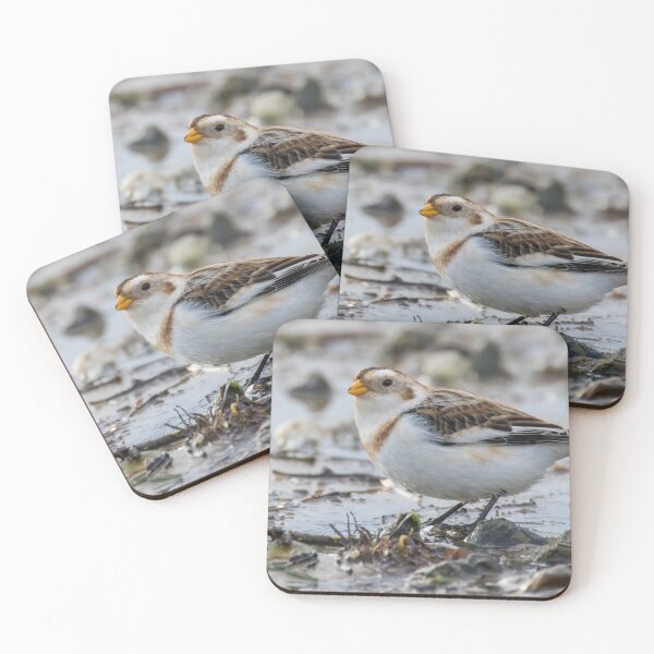 Item preview, Snow Bunting designed and sold by LaurenTucker.