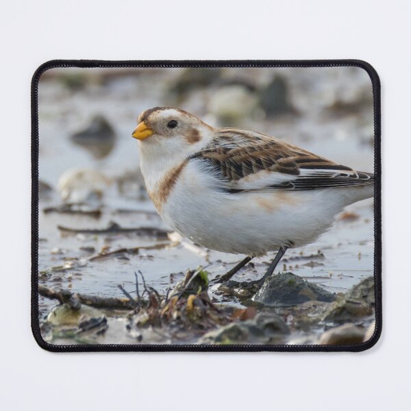 Item preview, Snow Bunting designed and sold by LaurenTucker.