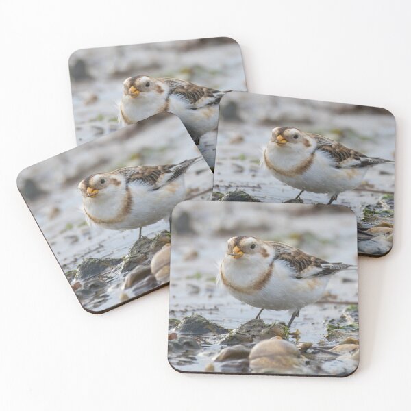Item preview, Snow Bunting designed and sold by LaurenTucker.