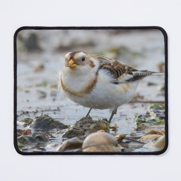 Item preview, Snow Bunting designed and sold by LaurenTucker.