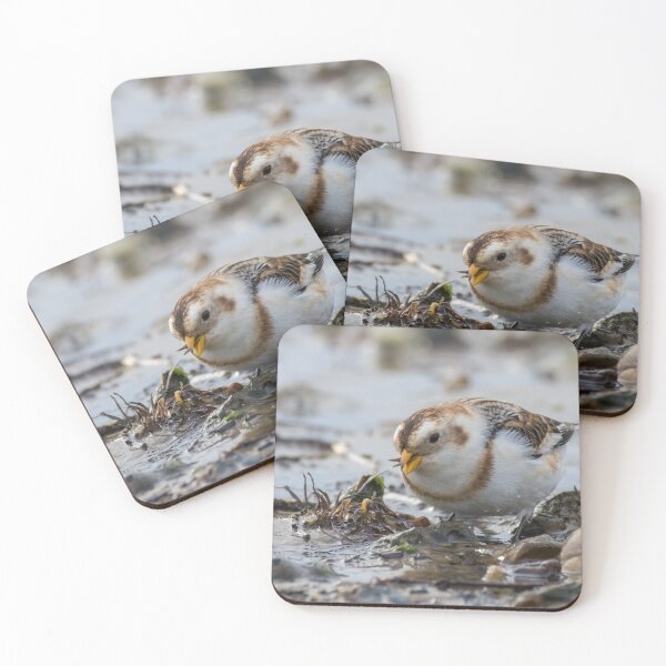 Item preview, Snow Bunting designed and sold by LaurenTucker.