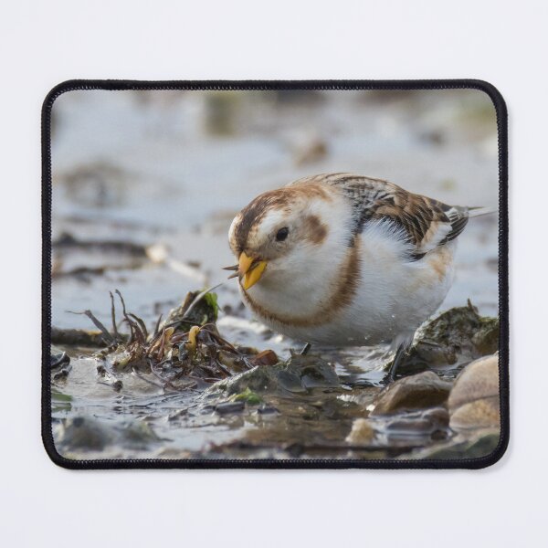 Item preview, Snow Bunting designed and sold by LaurenTucker.