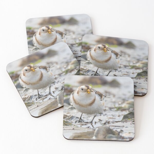 Item preview, Snow Bunting designed and sold by LaurenTucker.