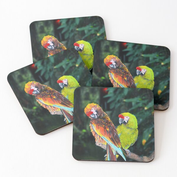 Item preview, Macaws designed and sold by Savannah Gibbs.