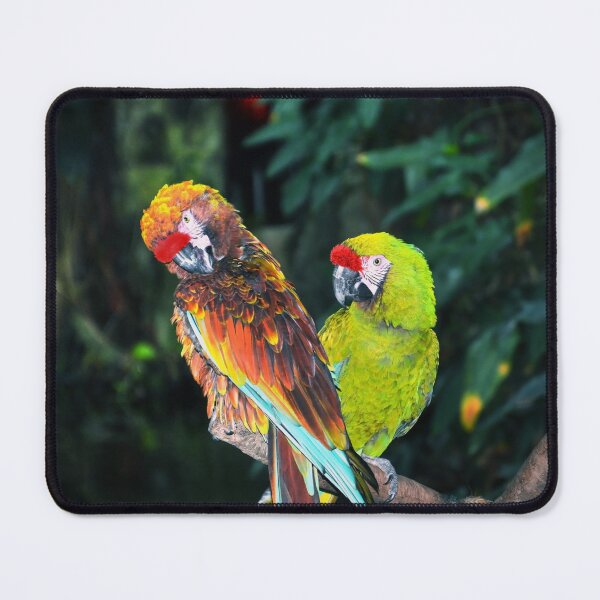 Item preview, Macaws designed and sold by Savannah Gibbs.