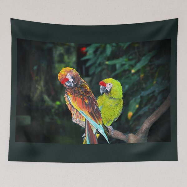 Item preview, Macaws designed and sold by Savannah Gibbs.