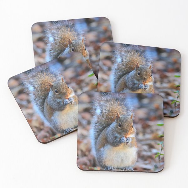 Item preview, Squirrel  designed and sold by Parks and X.