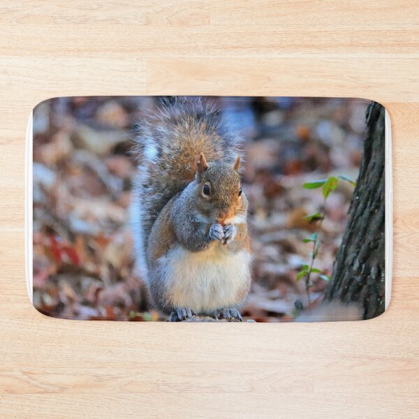 Item preview, Squirrel  designed and sold by Parks and X.