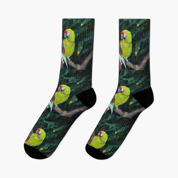 Item preview, Macaws designed and sold by Savannah Gibbs.
