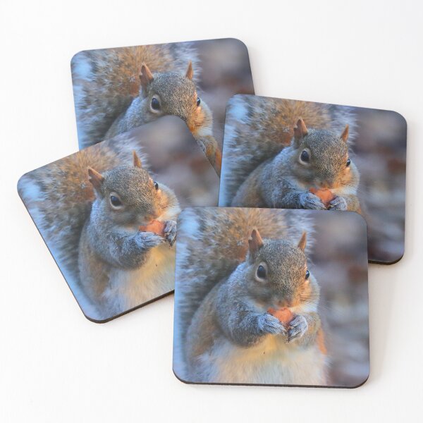 Item preview, Squirrel designed and sold by Parks and X.