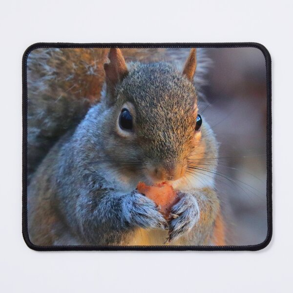 Item preview, Squirrel designed and sold by Parks and X.