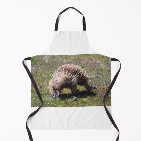 Item preview, echidna designed and sold by Gaylene Norton.