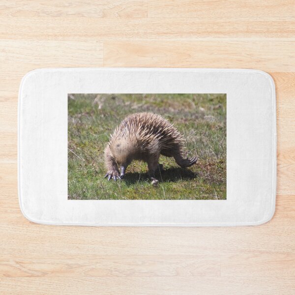 Item preview, echidna designed and sold by Gaylene Norton.