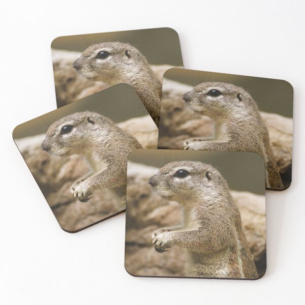 Item preview, Yo - Wassup ! Photo designed and sold by AK-Hevonen.