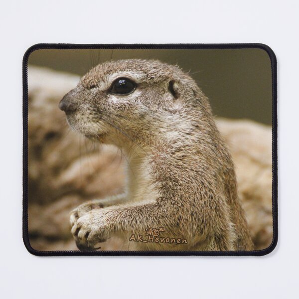 Item preview, Yo - Wassup ! Photo designed and sold by AK-Hevonen.