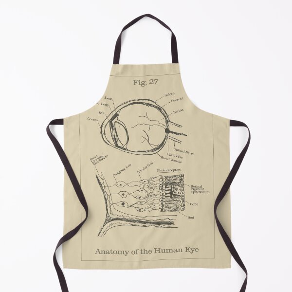 Item preview, Anatomy of the Human Eye - Vintage Textbook Figure designed and sold by MicroMarket.