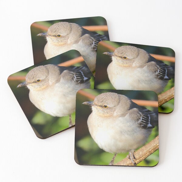 Item preview, sinsonte designed and sold by Parks and X.