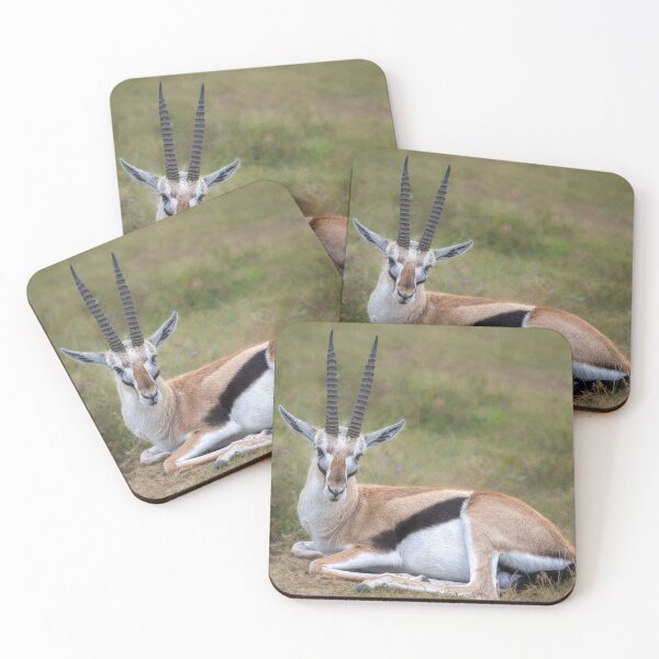 Item preview, Thompson's Gazelle Tanzania Africa designed and sold by PhotoArt by Joan Carroll.