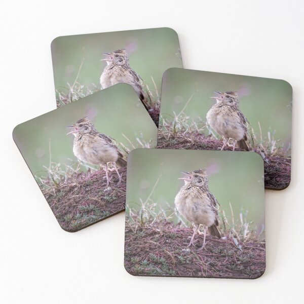 Item preview, Rufous Naped Lark Tanzania Africa designed and sold by PhotoArt by Joan Carroll.