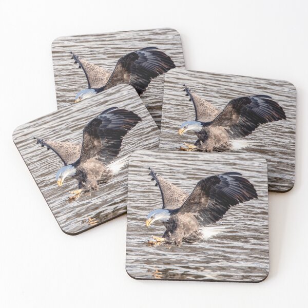 Item preview, Bald eagle diving to catch a fish designed and sold by KRFNatureGifts.