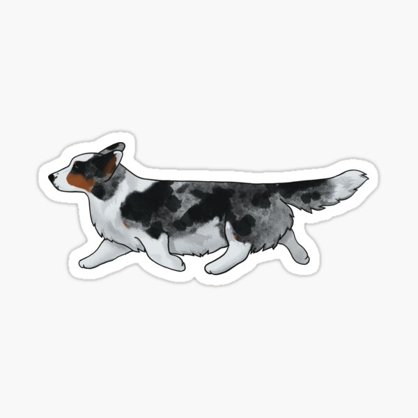 Item preview, Cardigan Welsh Corgi F, blue merle designed and sold by Spinyflowerart.