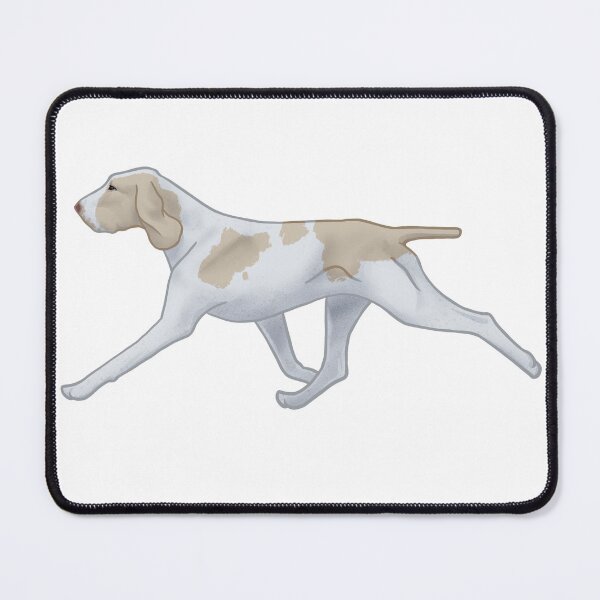 Item preview, Bracco Italiano A designed and sold by Spinyflowerart.
