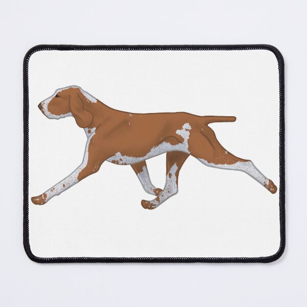 Item preview, Bracco Italiano B designed and sold by Spinyflowerart.