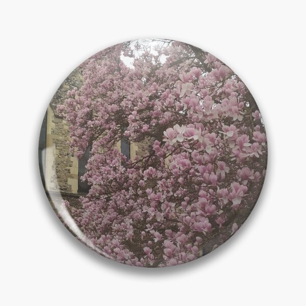Item preview, Hermosa fotografía de la Abadía de San Agustín de Canterbury con magnolias designed and sold by Coolparrotgirl.