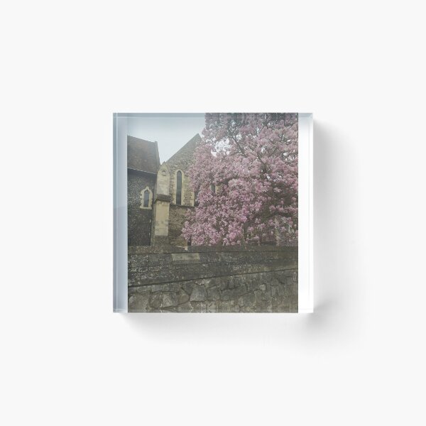 Item preview, Hermosa fotografía de la Abadía de San Agustín de Canterbury con magnolias designed and sold by Coolparrotgirl.