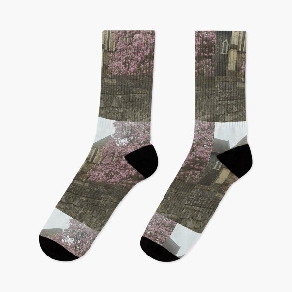Item preview, Beautiful Canterbury St Augustine's Abbey with magnolia photography designed and sold by Coolparrotgirl.