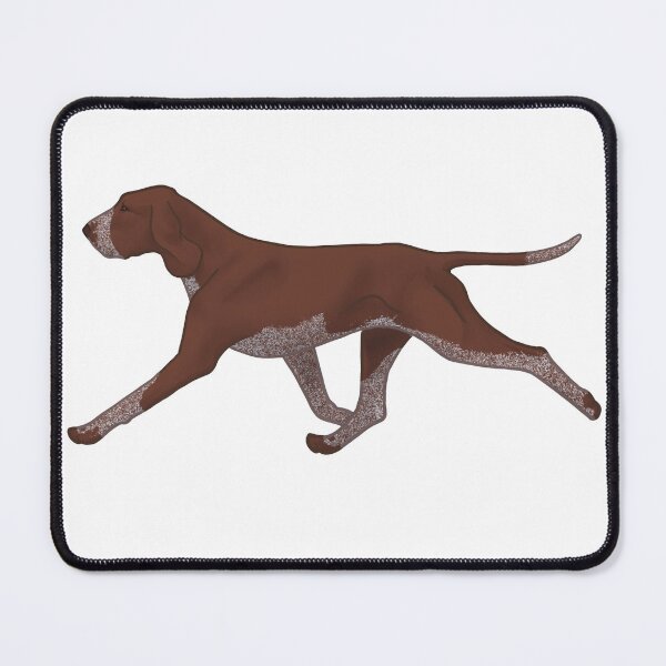 Item preview, Bracco Italiano G designed and sold by Spinyflowerart.