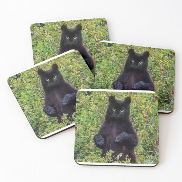 Item preview, Black cat bear designed and sold by skyblueindie.