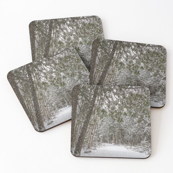 Item preview, MacGregor Point Provincial Park, Ontario 2 designed and sold by jrtwynam.