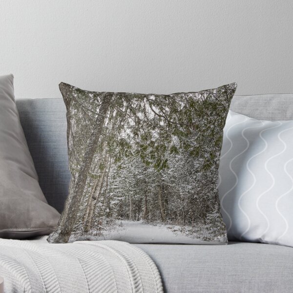 Item preview, MacGregor Point Provincial Park, Ontario 2 designed and sold by jrtwynam.