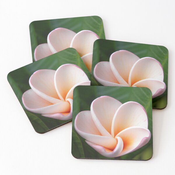 Item preview, Portfolio: Pink plumeria #5, Big Island, Hawai'i designed and sold by JDY Studio Designs.
