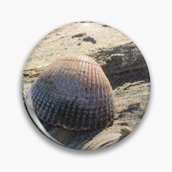 Item preview, Sandy Sea Shell  designed and sold by Buzzy-Bee123.