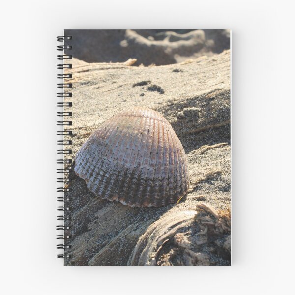 Item preview, Sandy Sea Shell  designed and sold by Buzzy-Bee123.