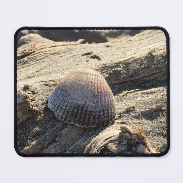 Item preview, Sandy Sea Shell  designed and sold by Buzzy-Bee123.