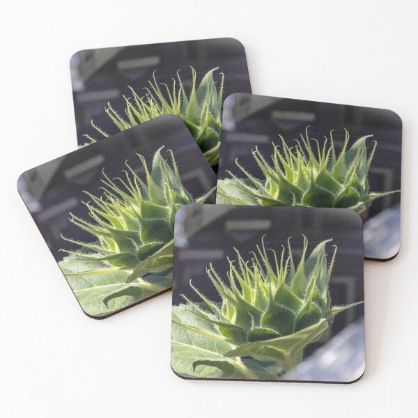 Item preview, Anticipation designed and sold by Geoff Treagus.