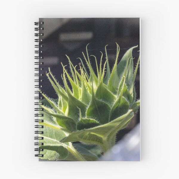 Item preview, Anticipation designed and sold by Geoff Treagus.