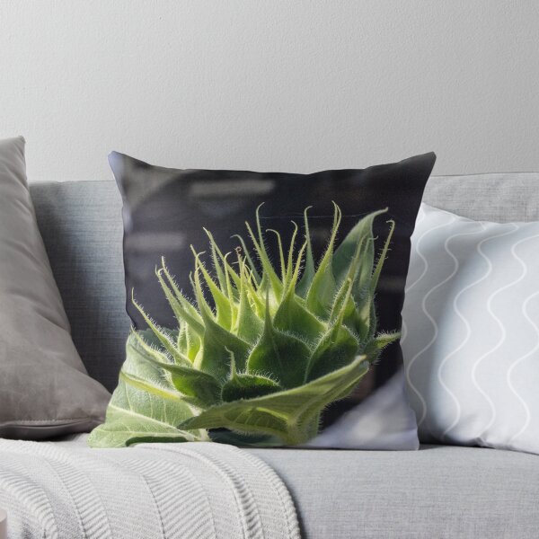 Item preview, Anticipation designed and sold by Geoff Treagus.