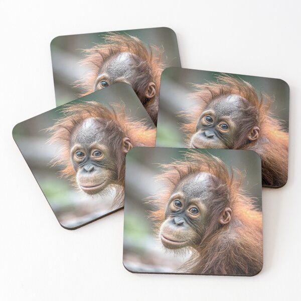 Item preview, Orangutan young portrait designed and sold by pawprintz.
