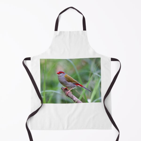Item preview, Red-brow Finch perched on a branch designed and sold by BirdsAlive.