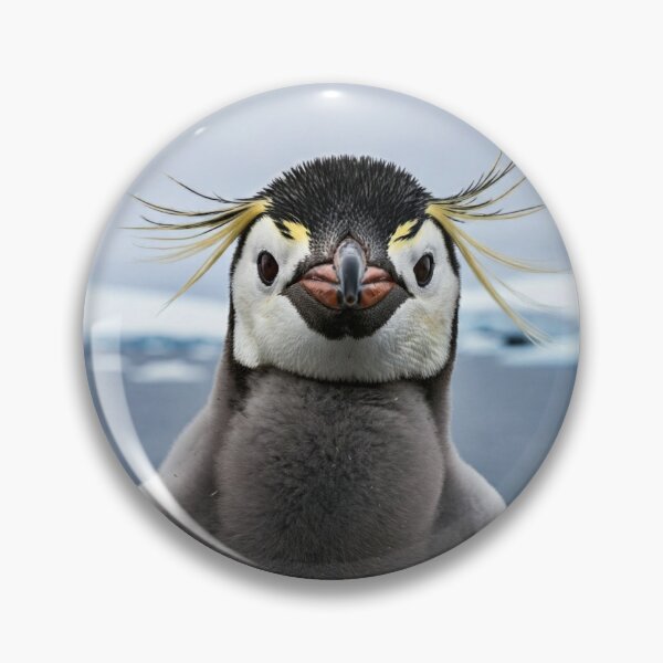 Item preview, PENGUIN 'Tod'  designed and sold by RWSCS.