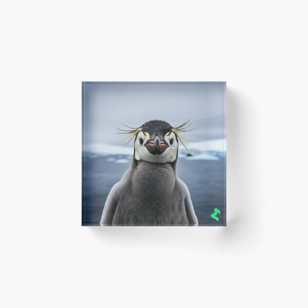 Item preview, PENGUIN 'Tod'  designed and sold by RWSCS.