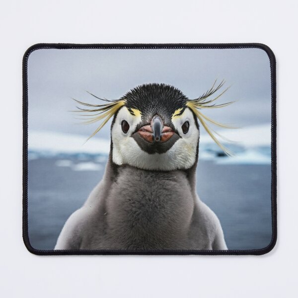 Item preview, PENGUIN 'Tod'  designed and sold by RWSCS.