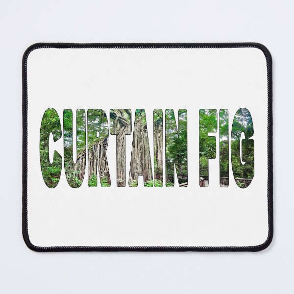 Item preview, CURTAIN FIG - National Park Northern Queensland Mabi designed and sold by Adam Gormley.