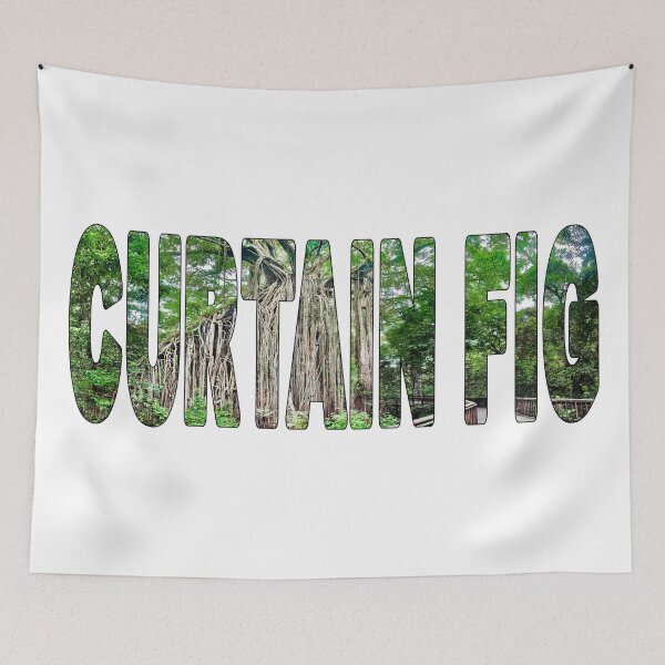 Item preview, CURTAIN FIG - National Park Northern Queensland Mabi designed and sold by Adam Gormley.