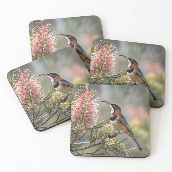 Item preview, Eastern Spinebill designed and sold by pawprintz.
